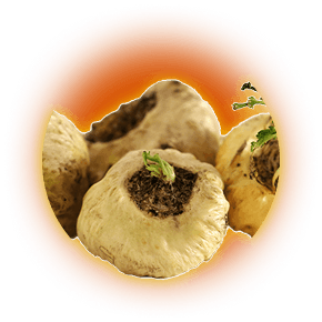 Maca root